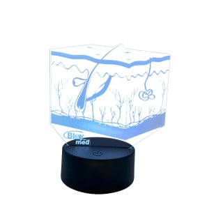 Luminária de LED - Camadas da Pele - Bleymed